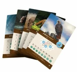 Cascadia (Thai Version With Promo Cards) -Golden Goblin Games Store aeg 7098 th 03